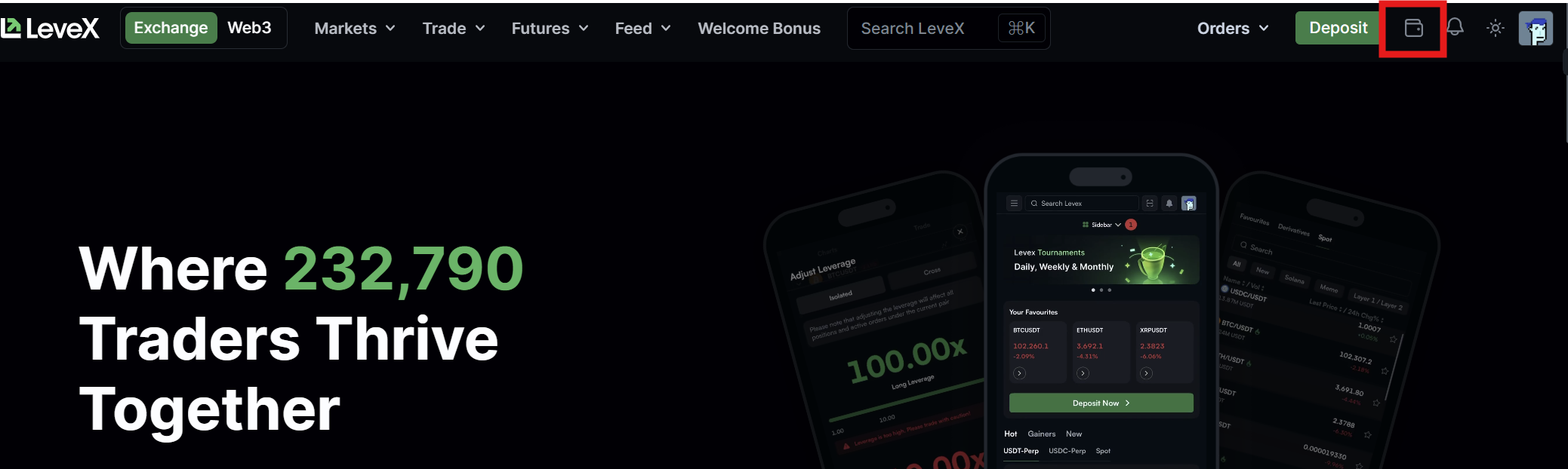 LeveX header wallet Icon