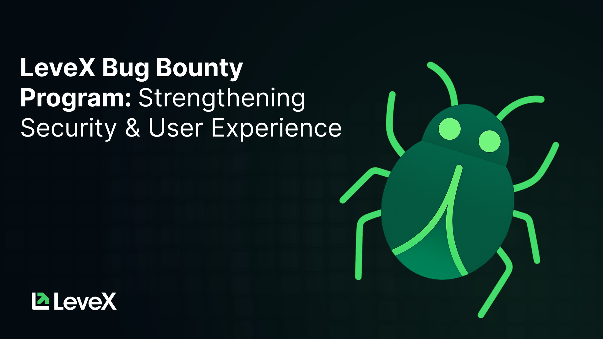 LeveX Bug Bounty Program: Strengthening Security & User Experience