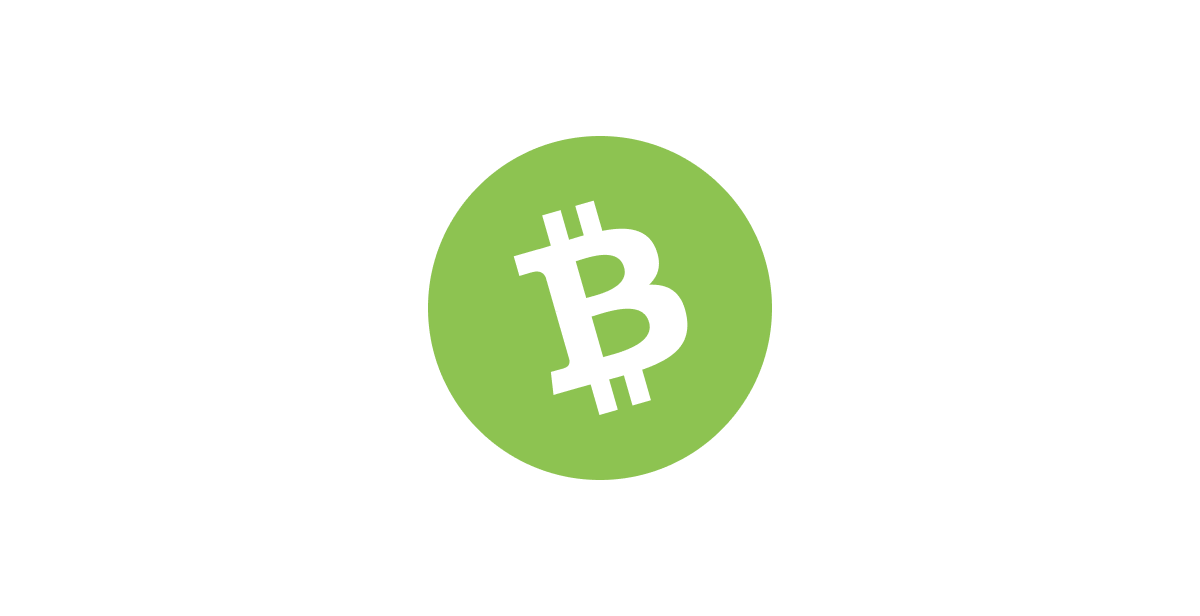 Bitcoin Cash Guide: Understanding the Bitcoin Alternative