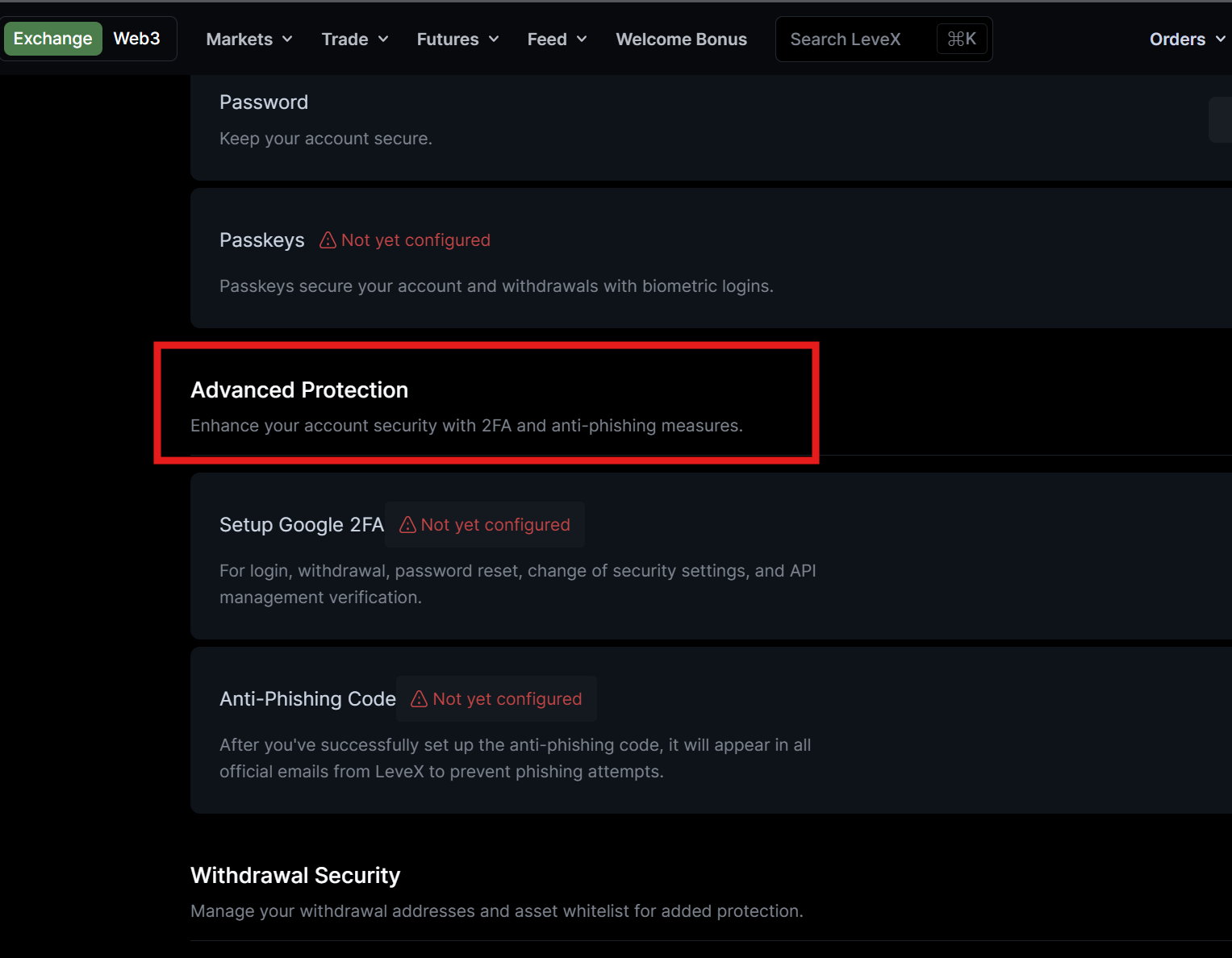 LeveX Advanced Security Section